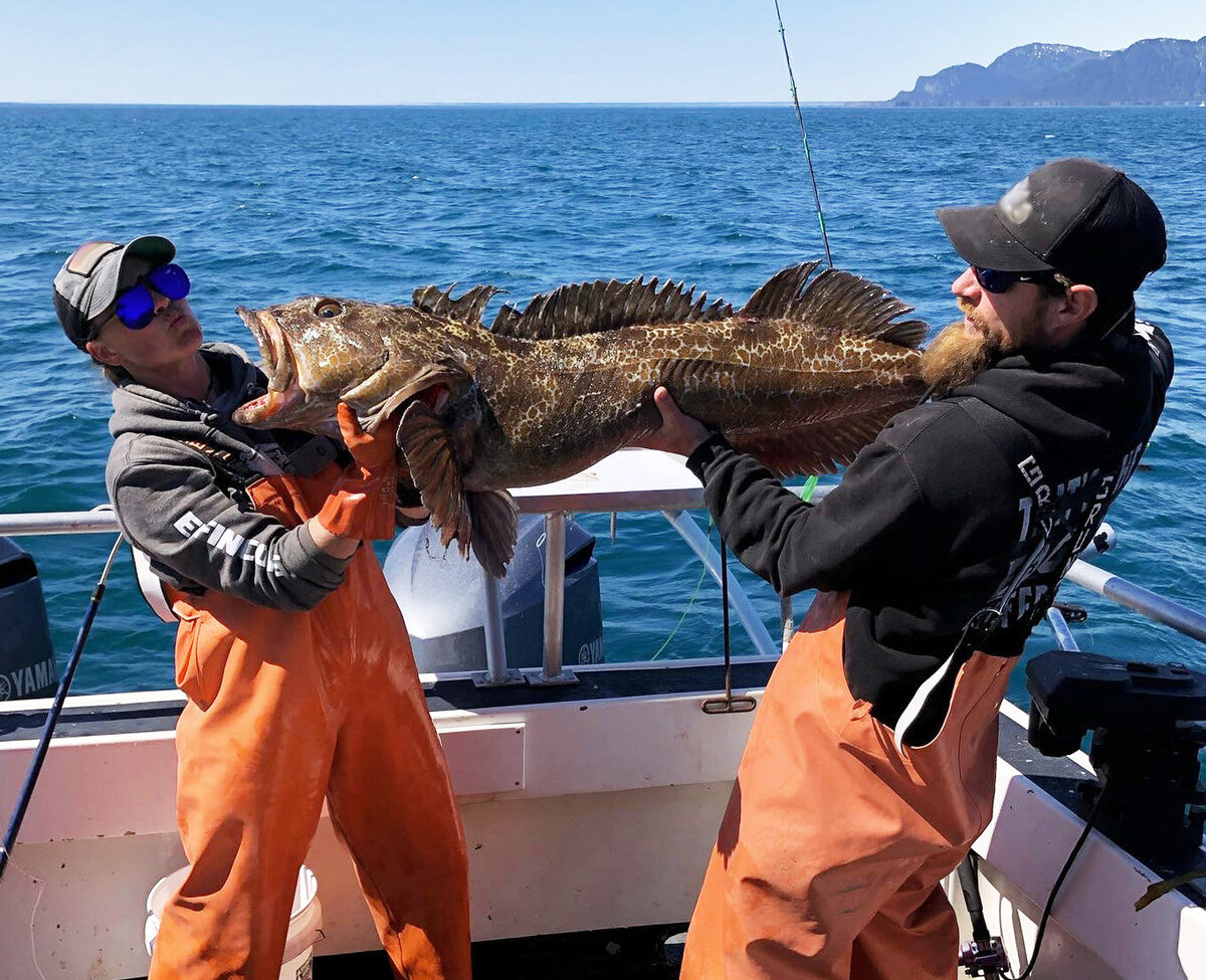 captains-dave-and-jojo-holding-a-huge-lingcod-on-an-adventure-vacation-near-elfin-cove