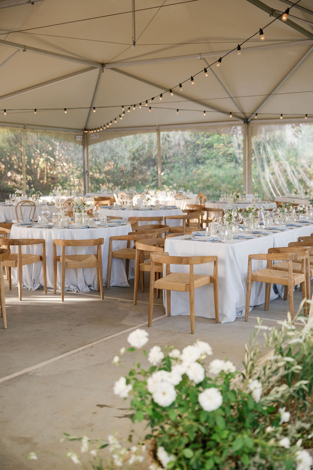 Trinity-Will-Previews-30