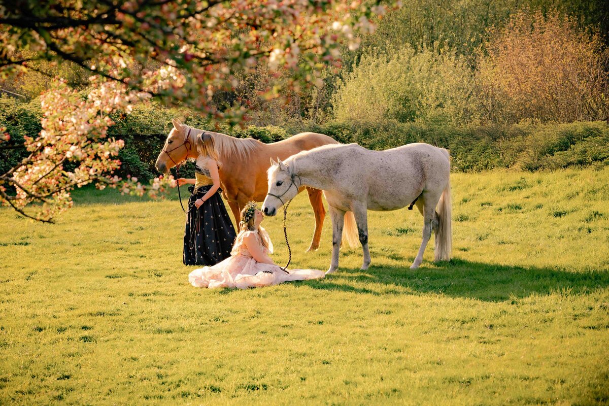 seattle-equine-photographer-11