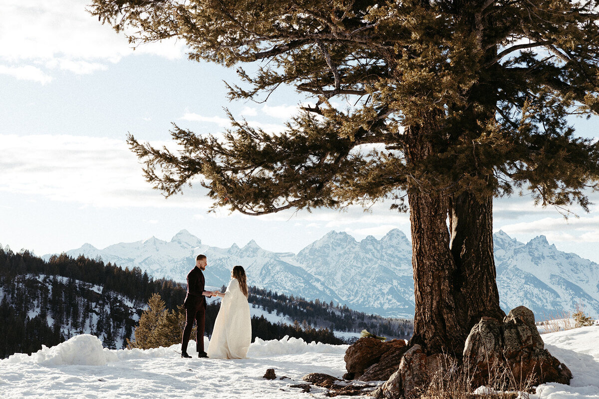JacksonHole-DallinHassard-1373