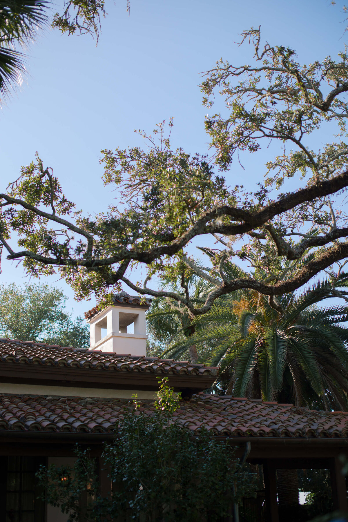 The-Cloister-at-Sea-Island-Wedding-93