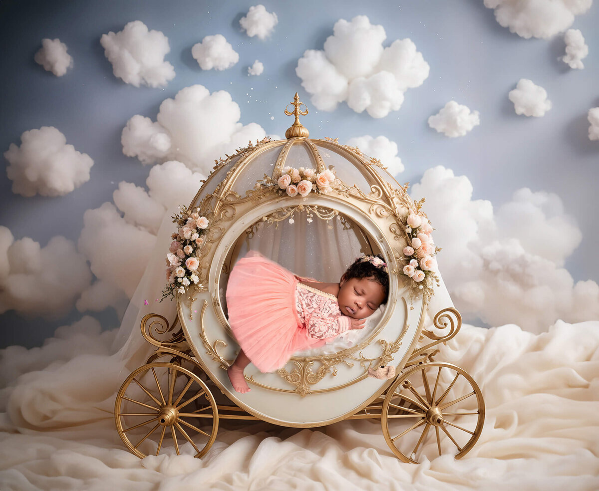 toronto-newborn-photographer-(1007)