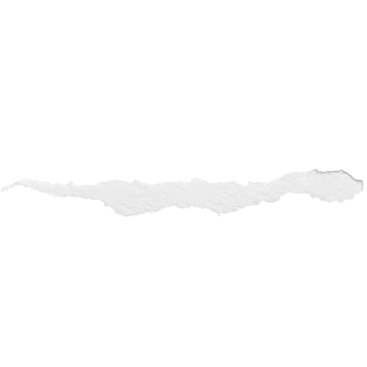 A white rippled edge of paper in a line to separate sections