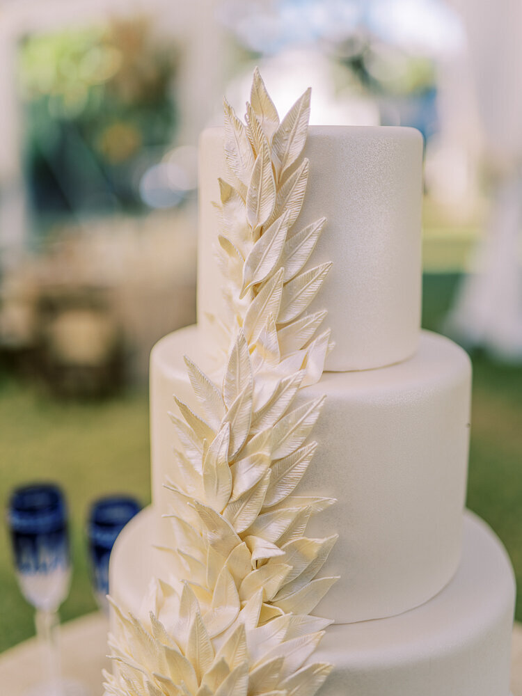 PALMETTO BLUFF WEDDING PHOTOS (511 of 733)