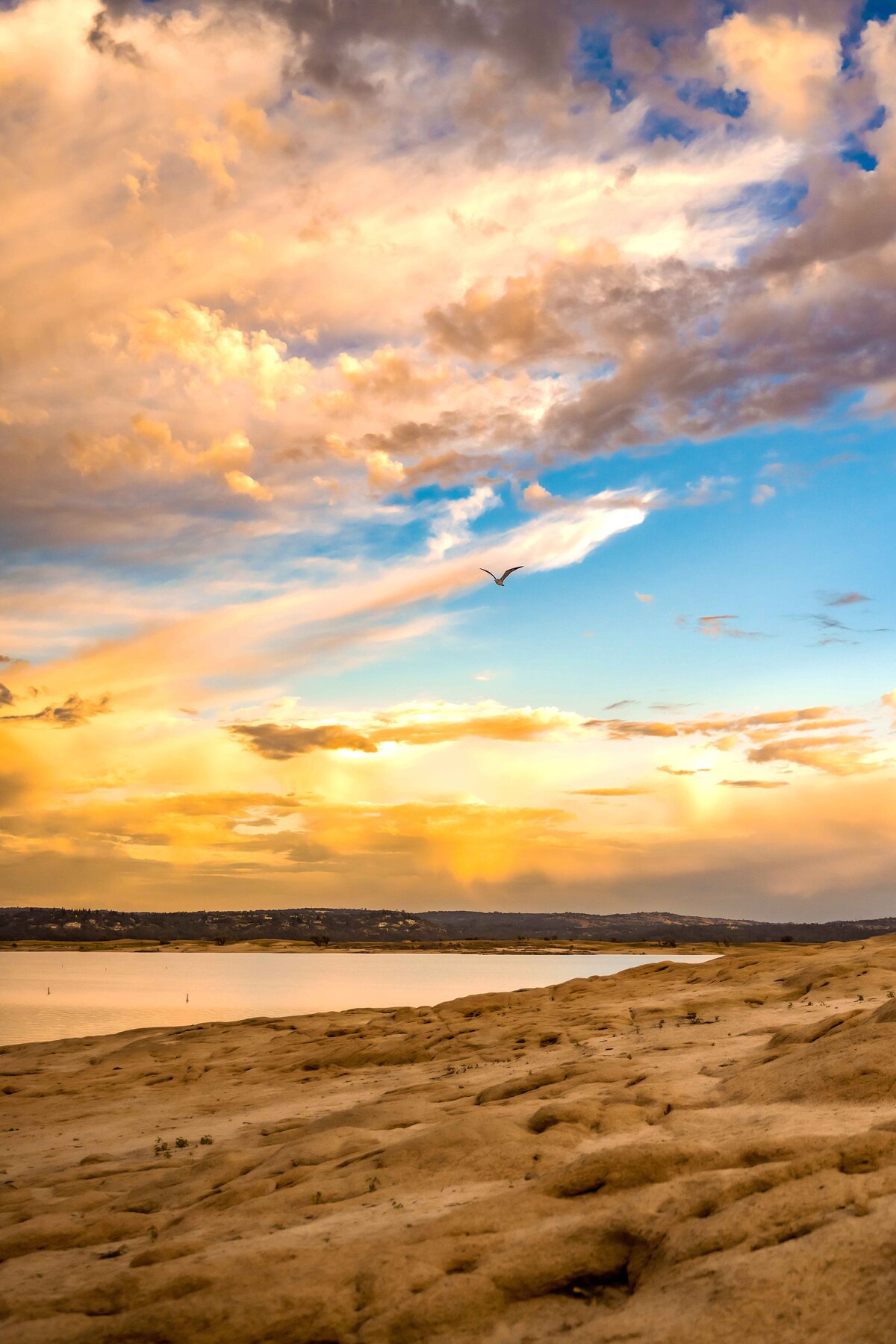 _DSC4385-Edit