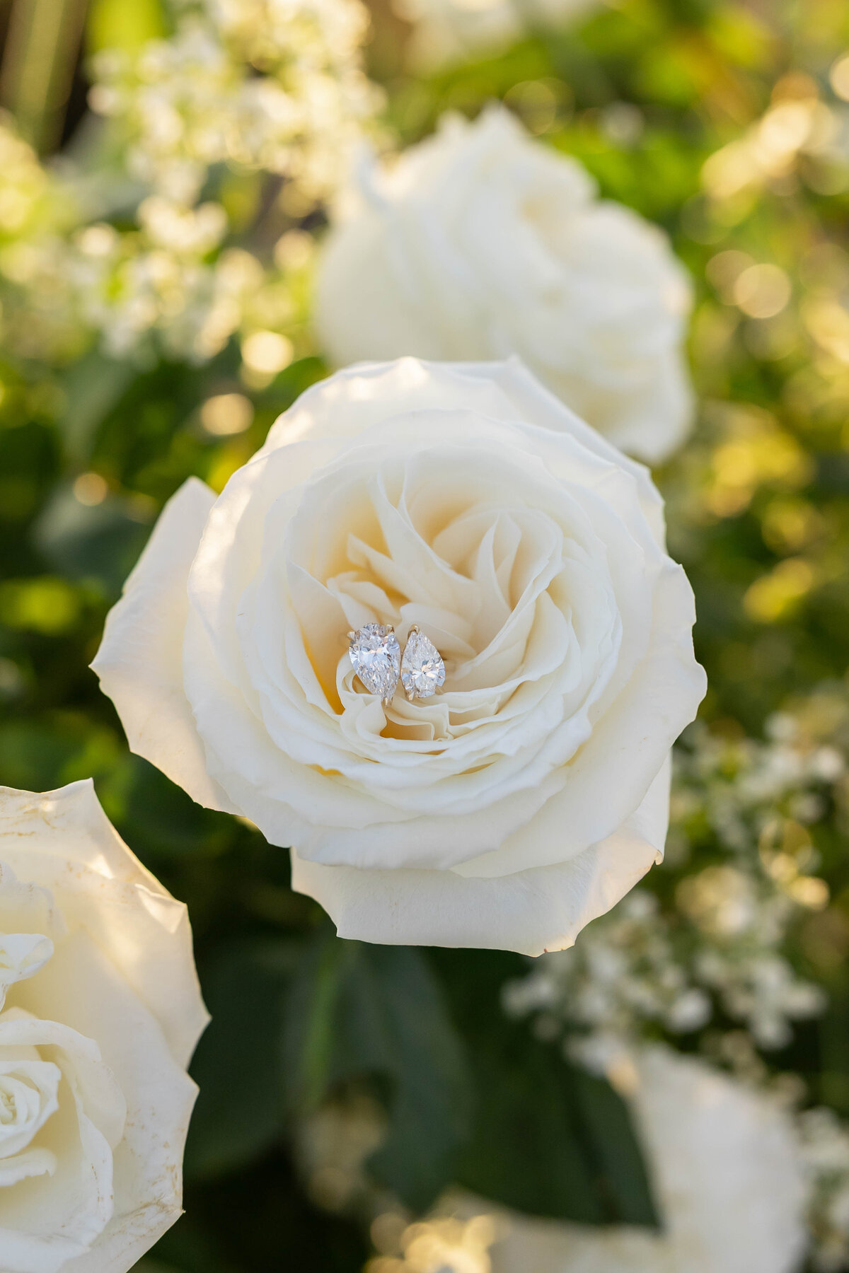 orange county - event planner3