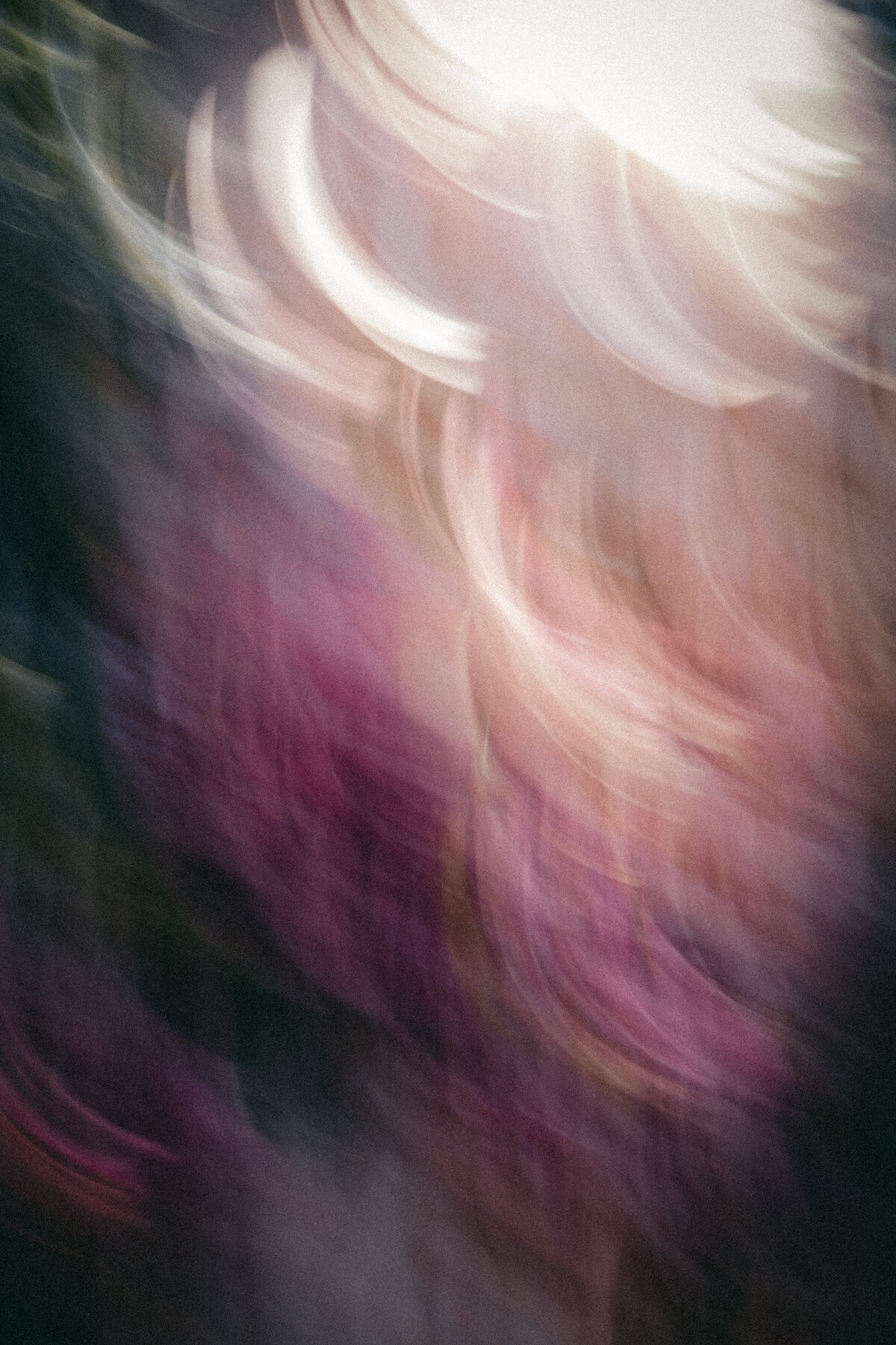 WhispersOfTheGardenFilm-001