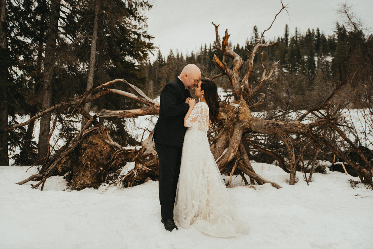 RevelAshStudio_Wedding_JasperMountains_Winter-004