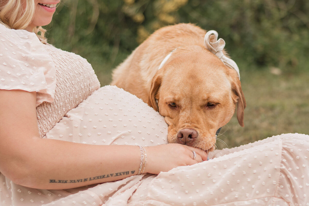 Pittsburgh-Family-Photographer-LLP-40