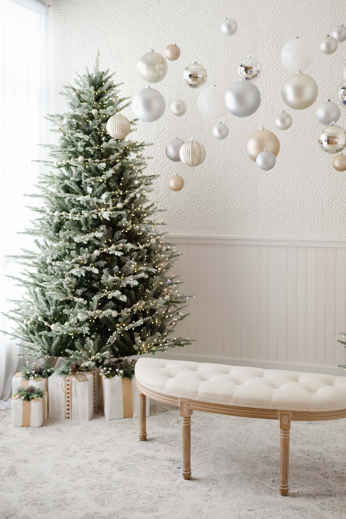 2025 Maine Studio Christmas Minis Gallery-8