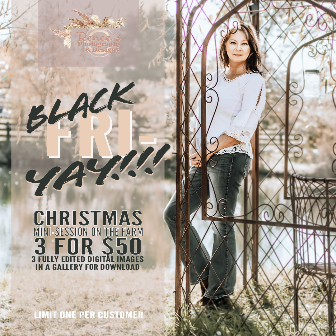 renees-photography-and-designs_black-friday-specials_christmas-mini-3-for-50
