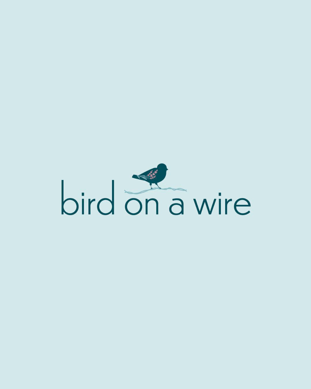 baer-brand-studio-bird-on-a-wire-horizontal-light-blue-bg-signature-package