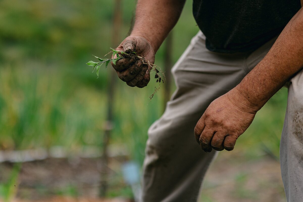 Leap-Lab-Science-Farm-Ventura-California-Santa-Paula-Non-Profit-0008