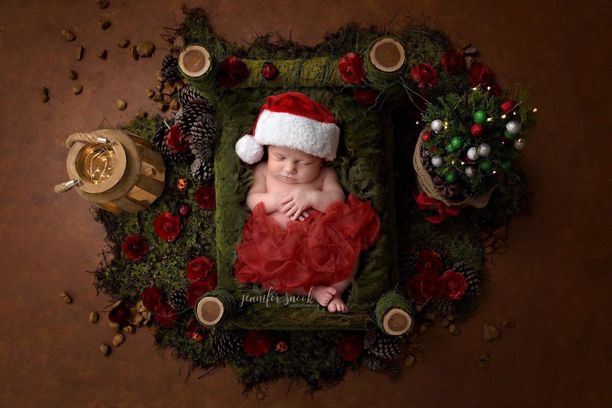 newborn photography Fayetteville, newborn photographer near me, Atlanta newborn photographer