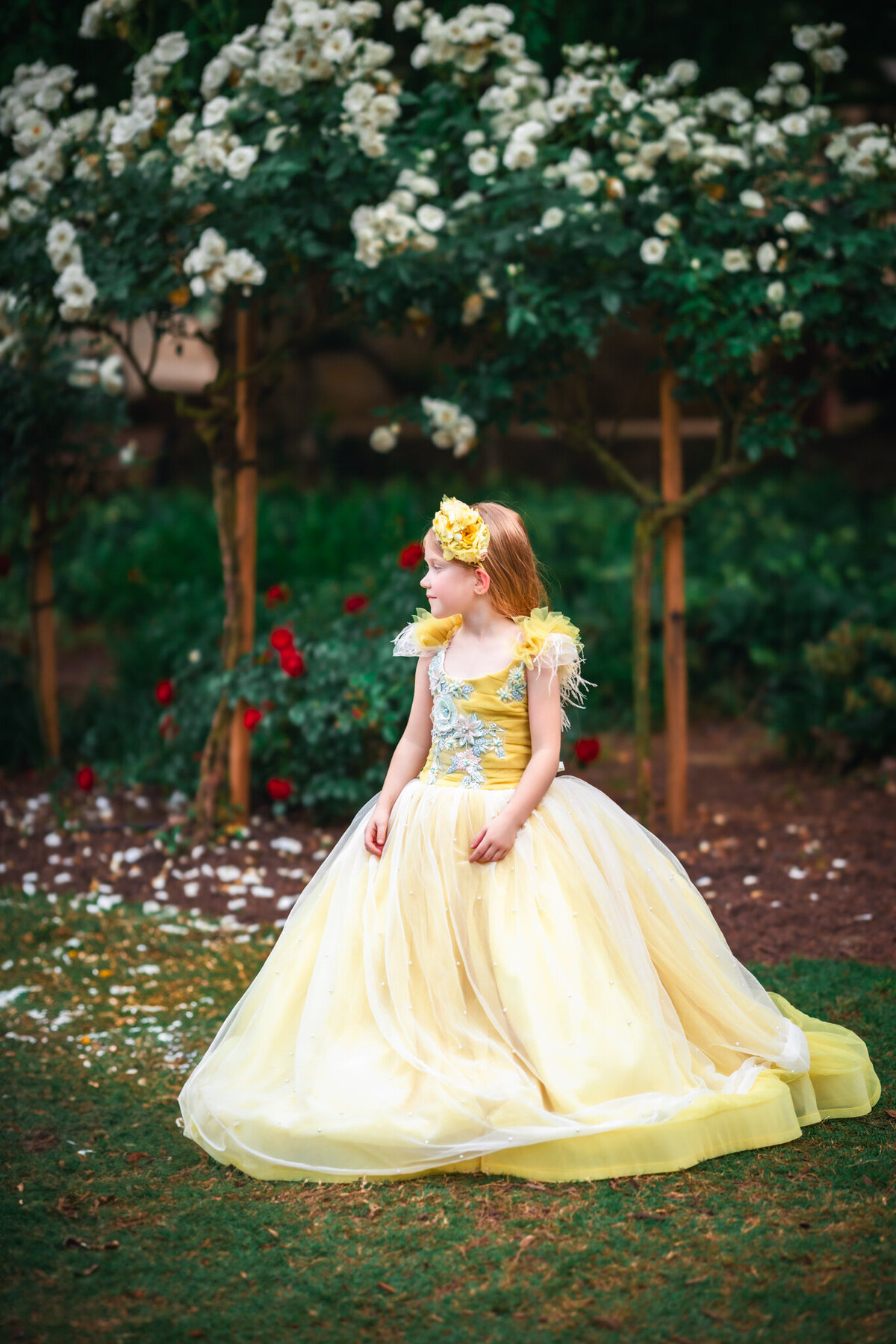 raleigh-childrens-photographer--148