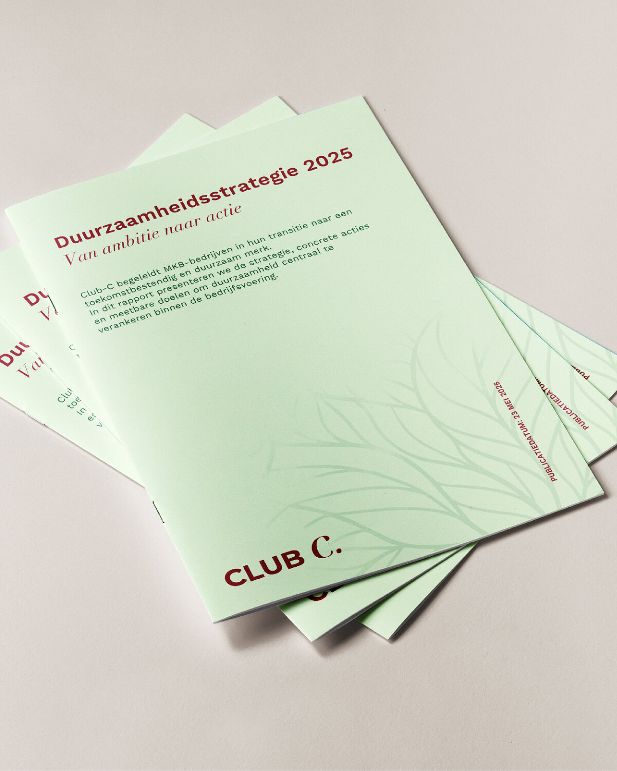 rapportage muckup 4-5