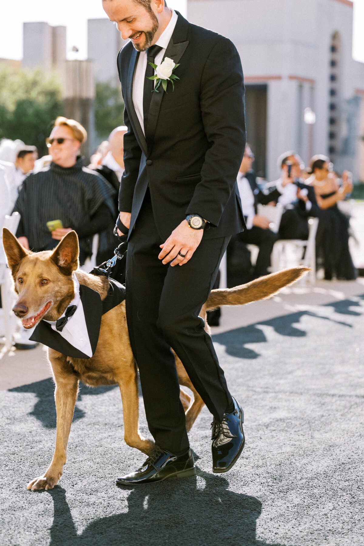 dog-as-ring-bearer