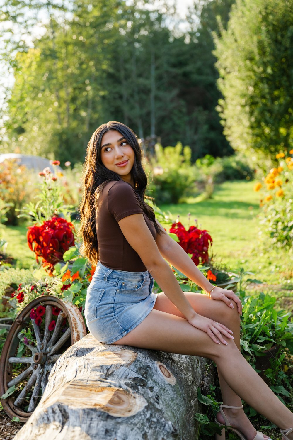 dahlia garden sunset girl sitting on  log