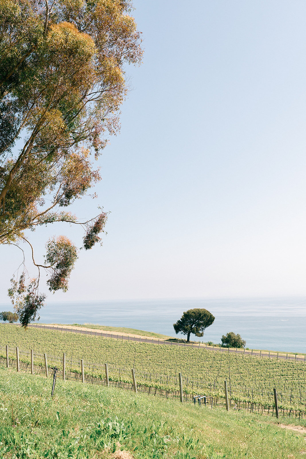 catalina-view-palos-verdes-wedding-planner66