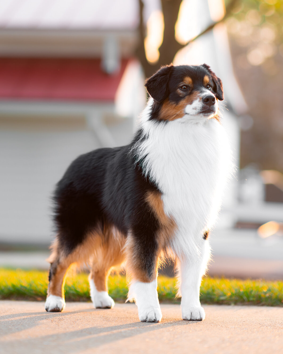 230518_USASA_Shine_WEB-2