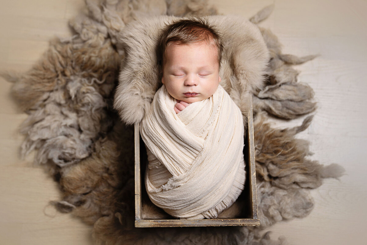 Newborn baby boy photos by top Philadelphia newborn photographer - aerial image. Baby boy swaddled in a cream stretch swaddle in a crate atop of layered faux fur.