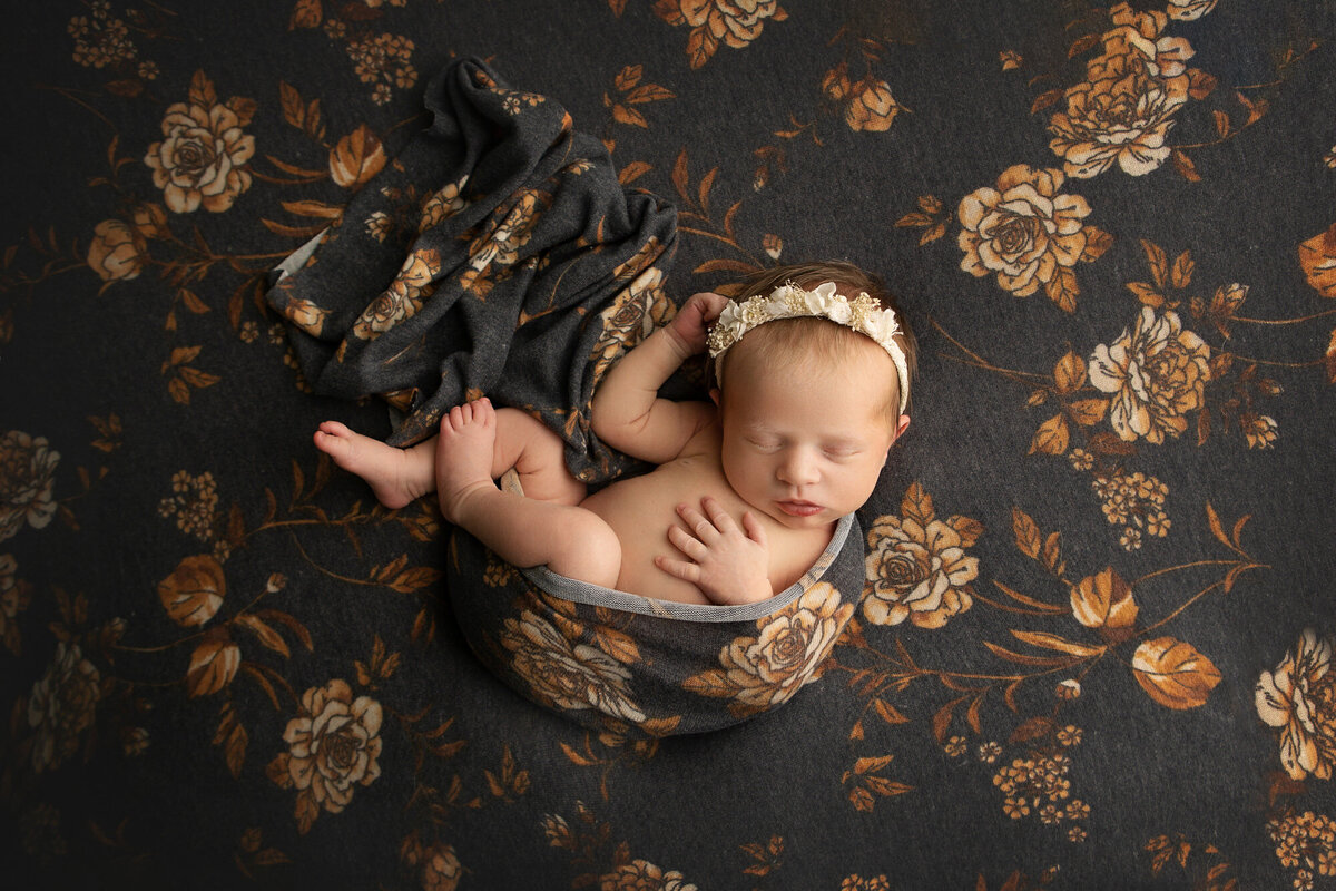best-newborn-photographer-columbus-ohio-amanda-estep-photography