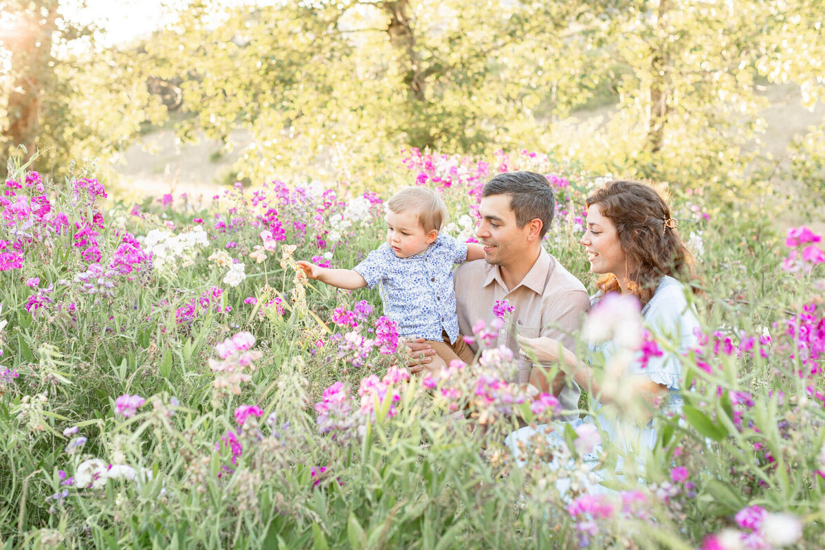 Mom, Dad and toddler son surrounded by pink and white wildflowers. They are all smiling and looking at the flowers together.