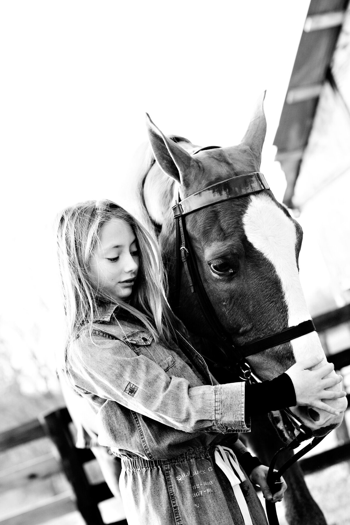 kentucky_horse_photographer