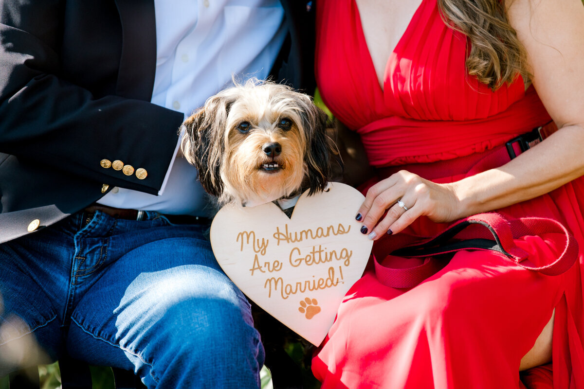 winterpark_engagement_bumby_0408-Edit