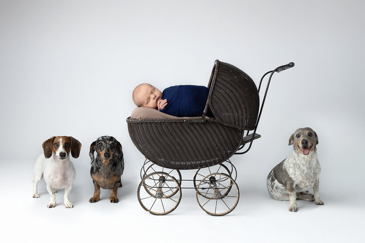 Dallas-Newborn-Photographer-0179