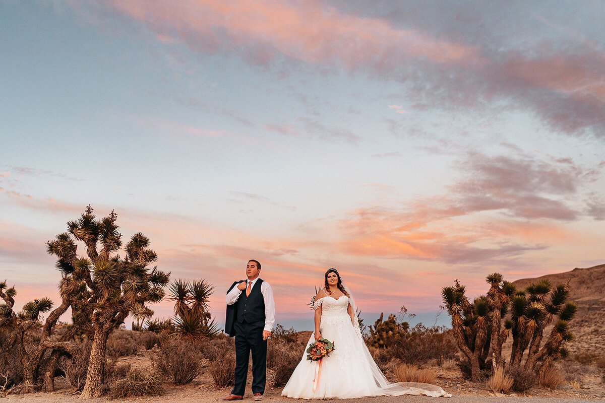 A+Z - Luxury Vegas Wedding Photographer - The Combs Creative - Adventurous Wedding Videographer - Arizona Elopement Photographer - Utah Wedding Photographer - Colorado Wedding Photographers (13 of 14)_websize
