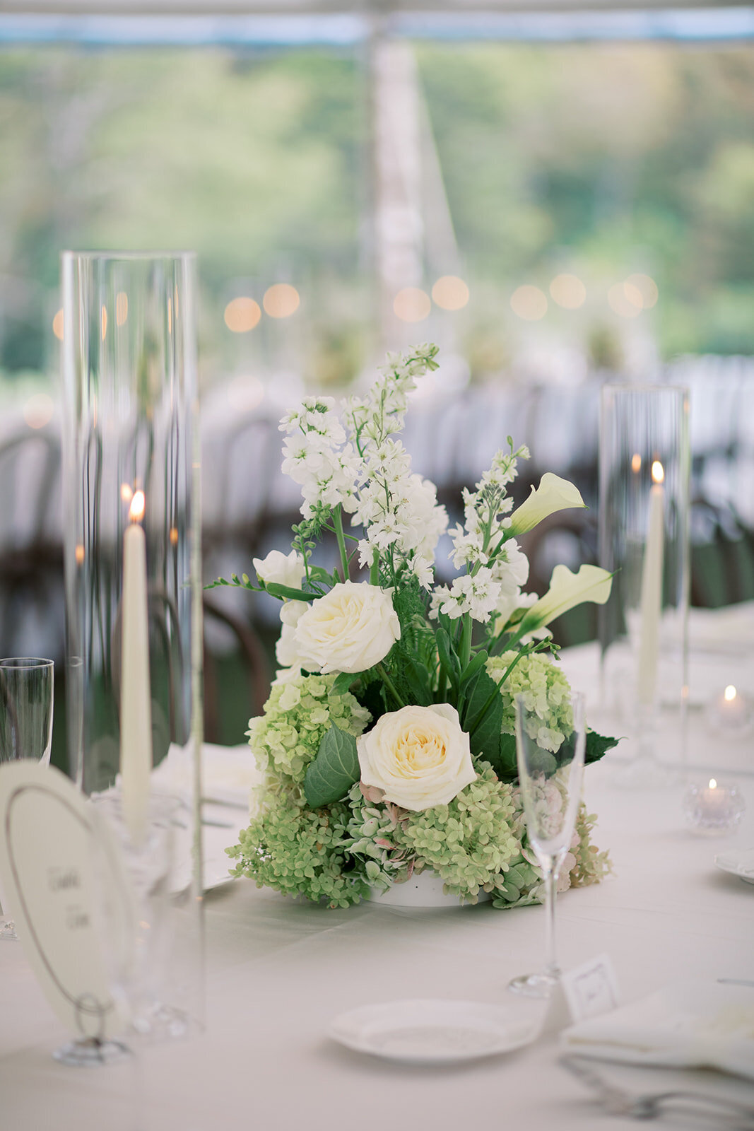 wedding-photos-french-park-63