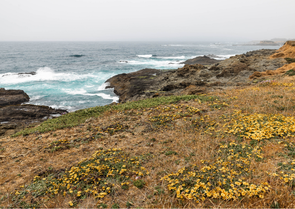 Conservation Easements in Central California 5