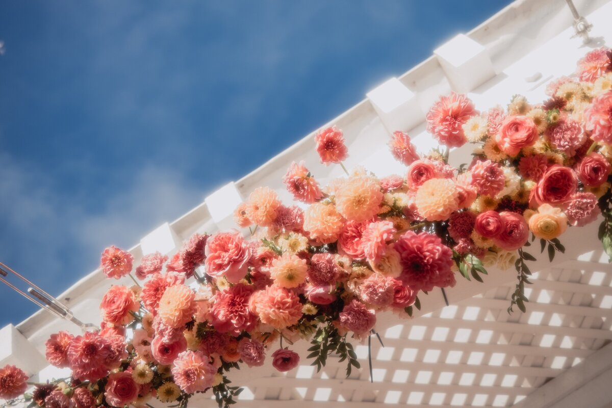 flower fields_059