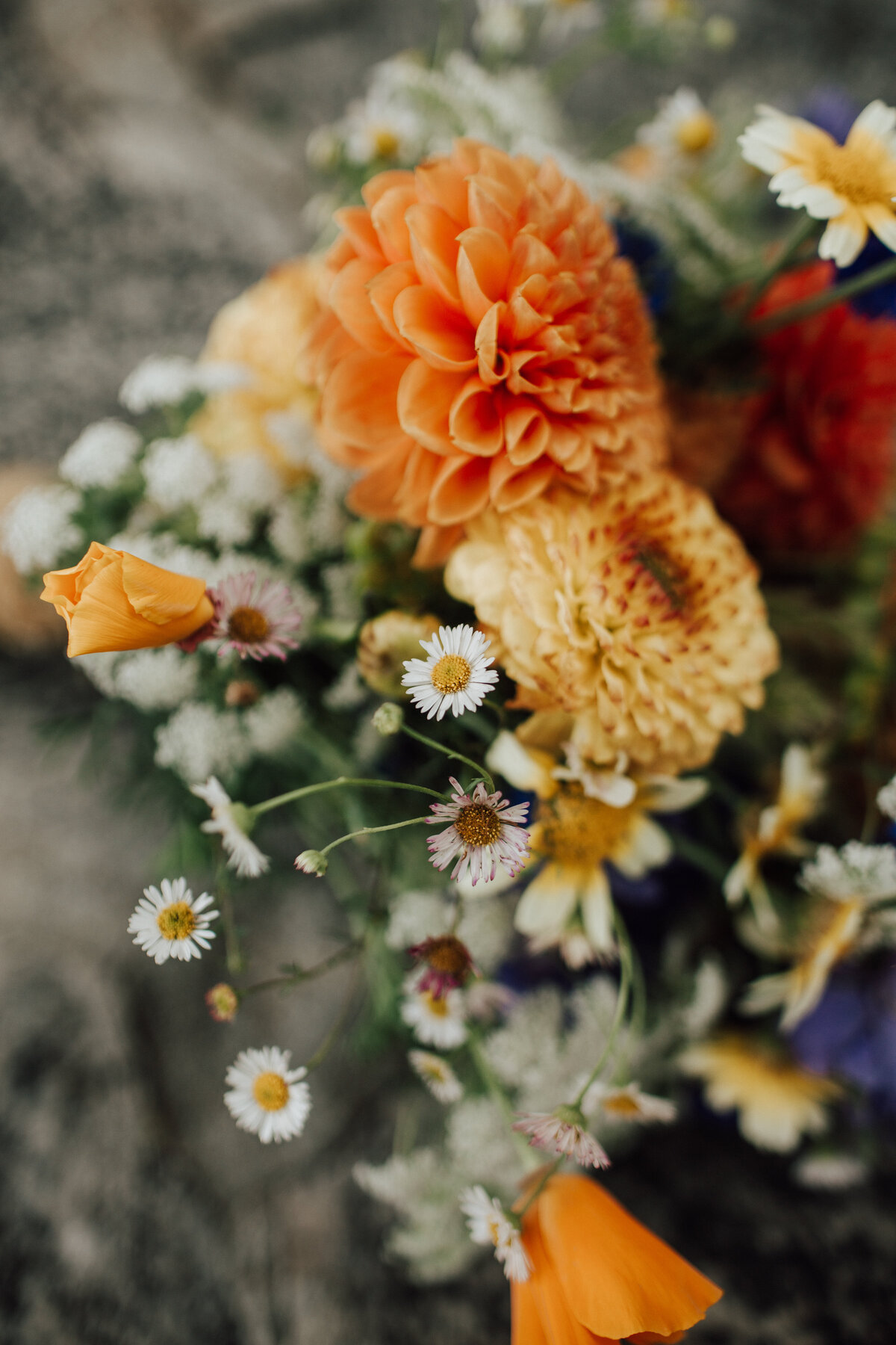 THEDELAURAS_POSTRANCHINN_BIGSUR_ELOPEMENT_ALI_JOSH_0015 copy