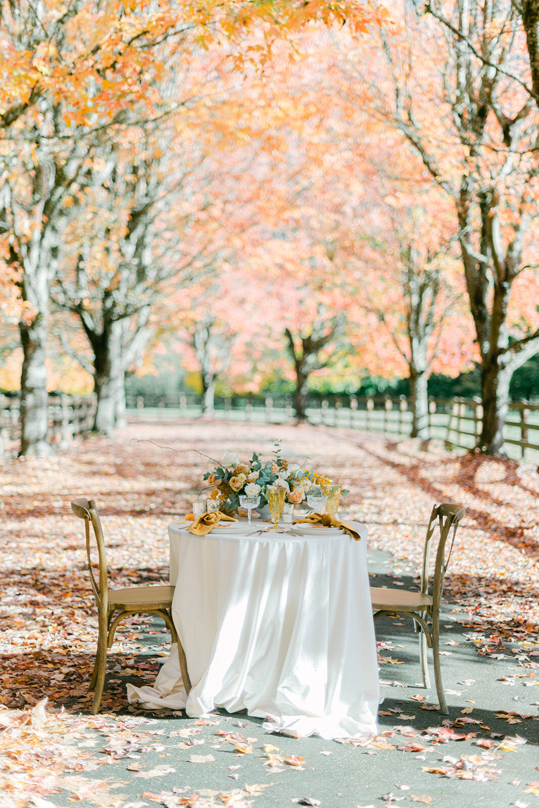 Michellia_Rockwood_Farm-069