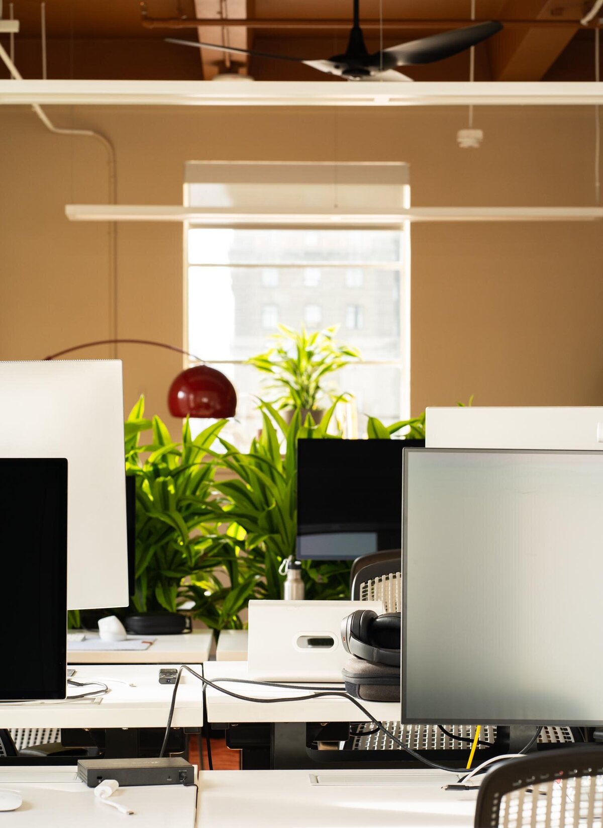 Bright open-office workspace with rows of desks, tall green plants behind monitors, and natural light from a large window.