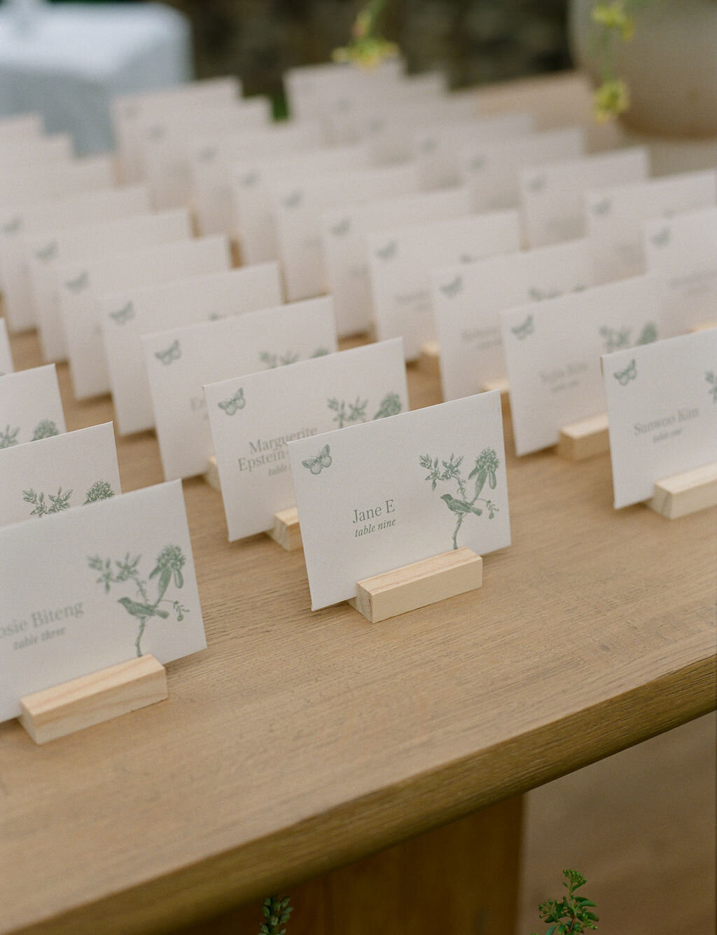 AnnaCalvin-Wed2025-741