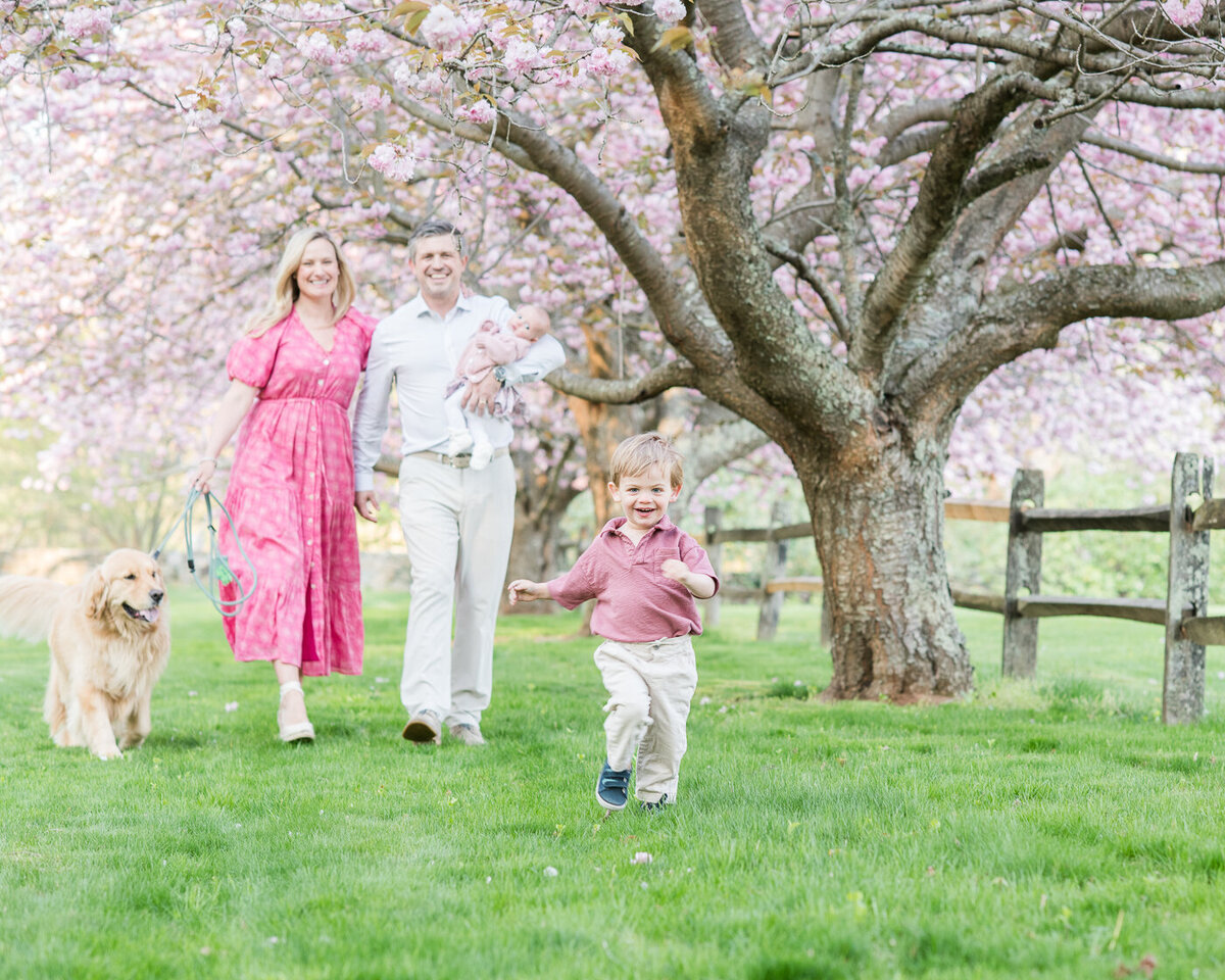 Cherry-Blossom-Photos-Erin-Belles-Photography-2024-22