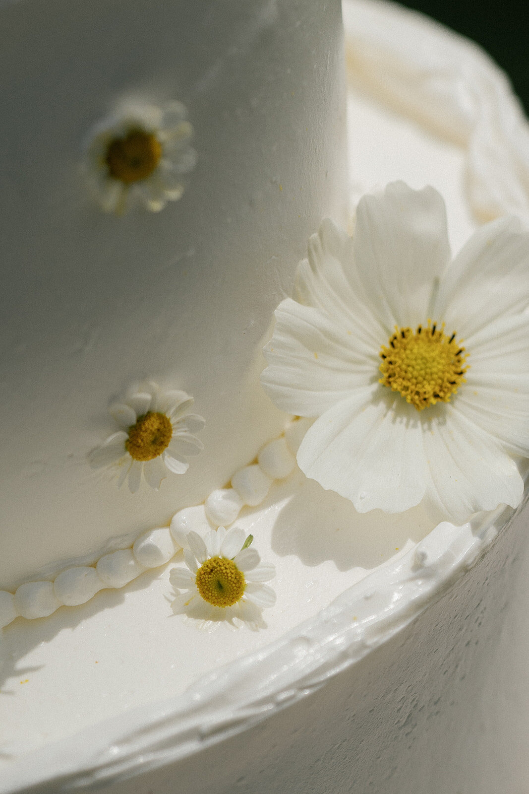 JESSICA RIEKE PHOTOGRAPHY - LAYNE AND JOHN PREVIEW-177