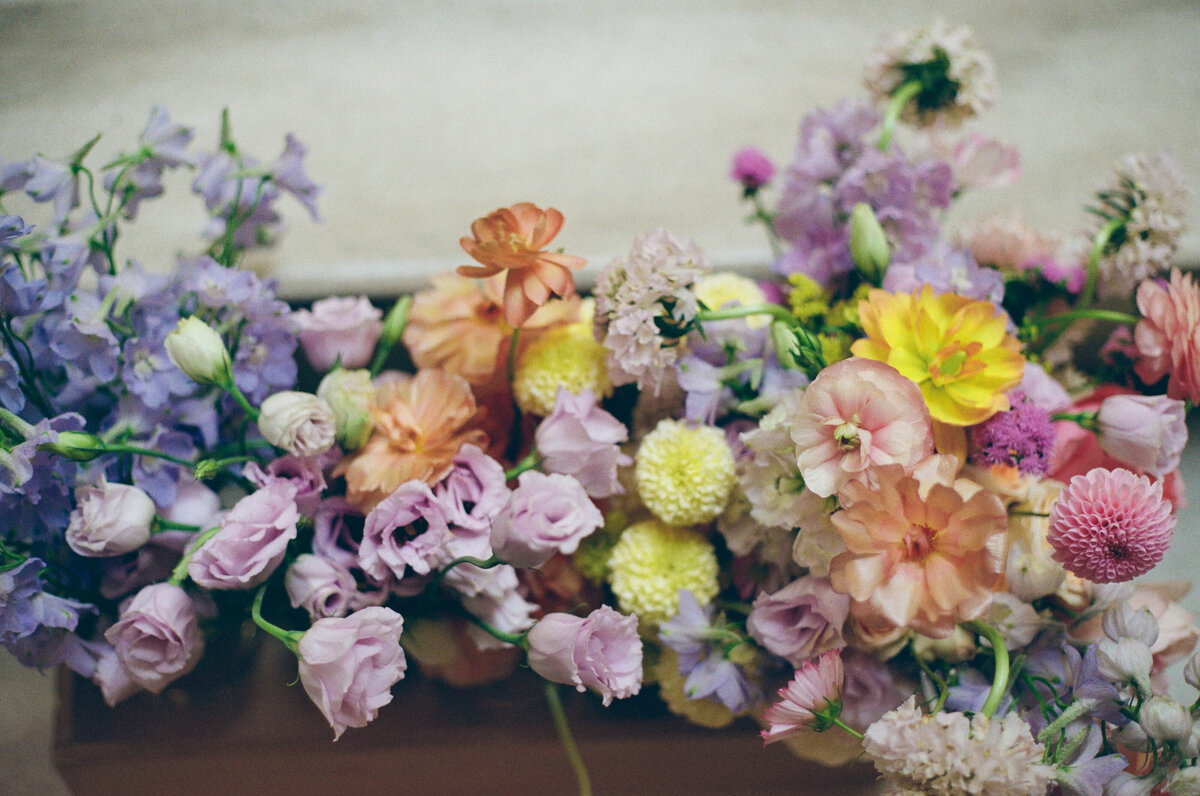 fujifilm_200_08_30_2024_000131940011