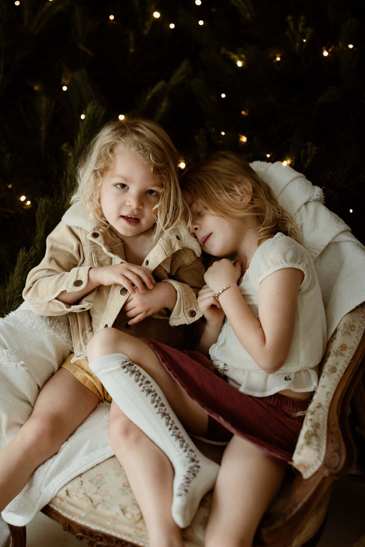 brisbane-christmas-mini-photo-packages