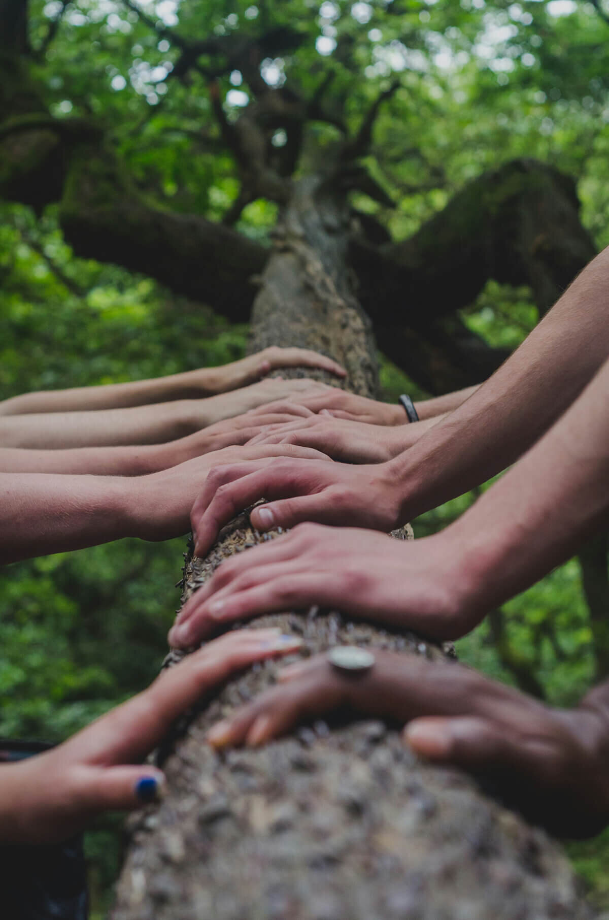 contact Relational Embodied