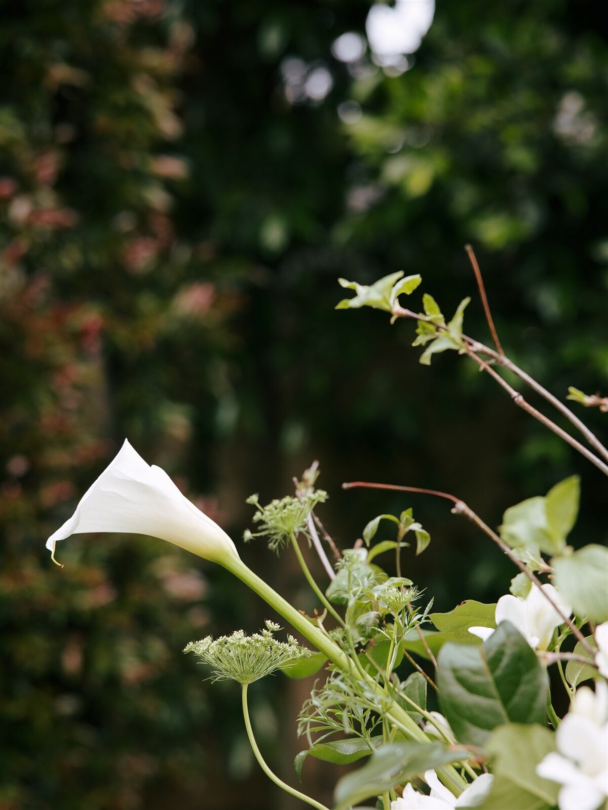 Vazquez Photography- The Begg_s Engagement-43