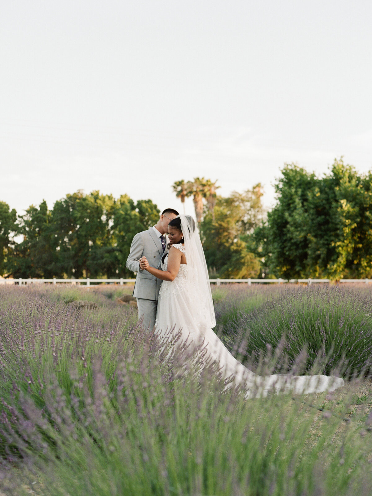 Pageo Lavender Farm Wedding-9