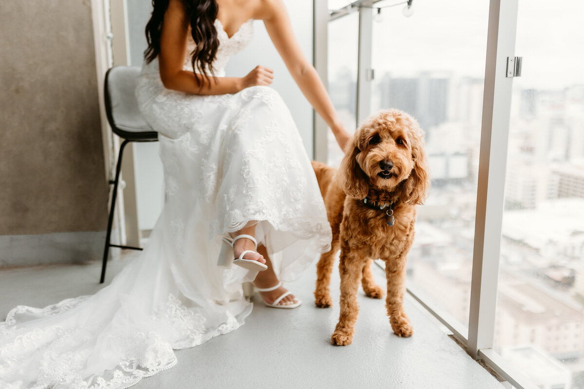 downtown san diego wedding