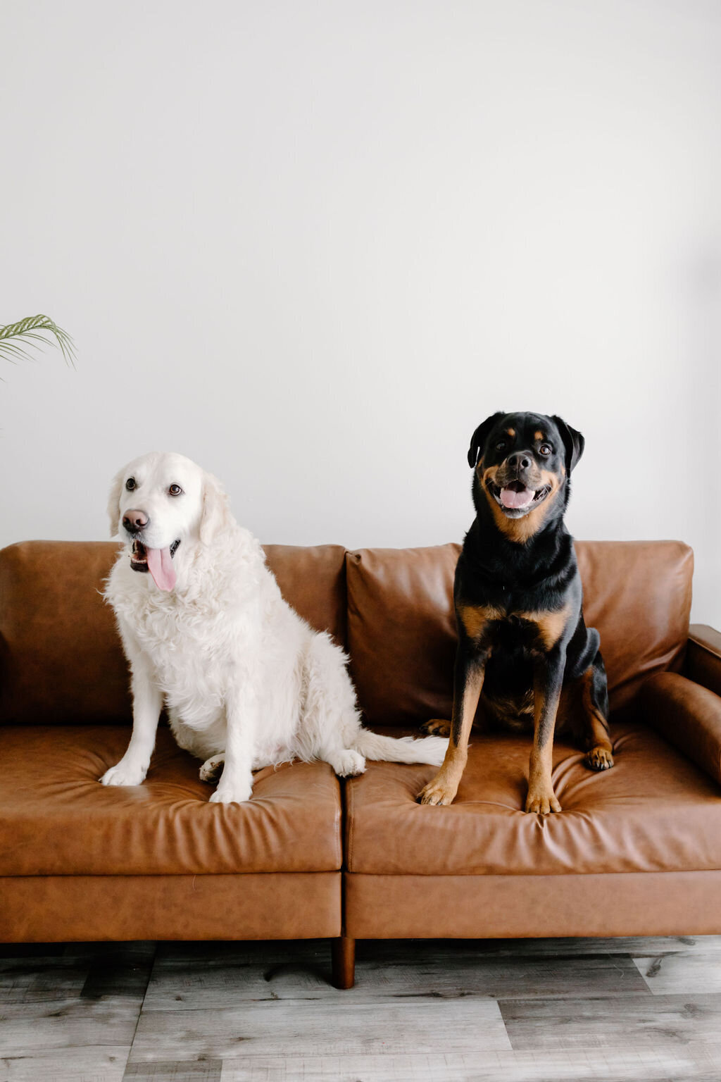 christina_ney_photography_wedding_engagement_lifestyle_photographer_dubuque_iowa_wedding_planning_assistance_adventurous_bold_laidback Family Photography25