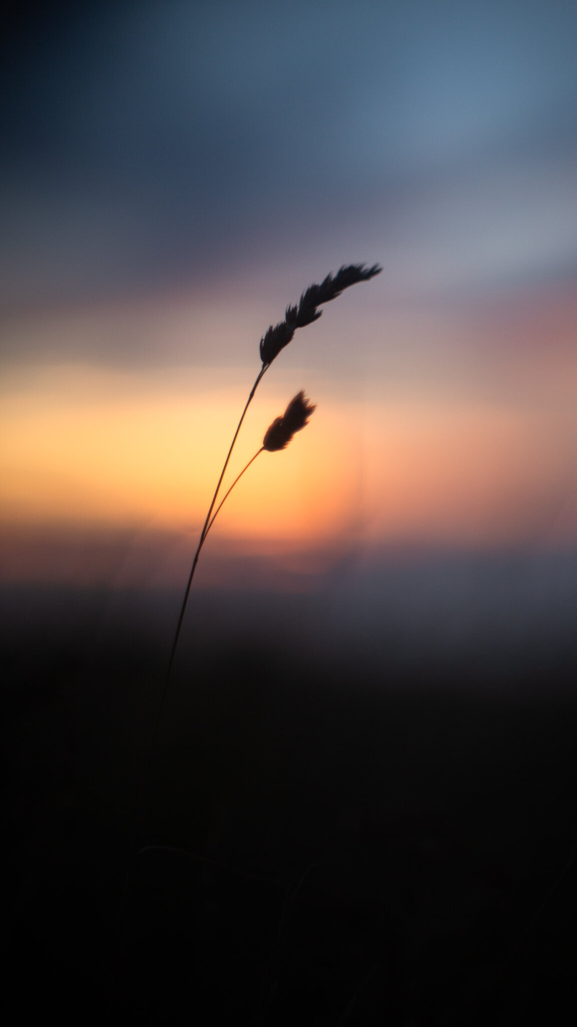 fine_art_photographer _010