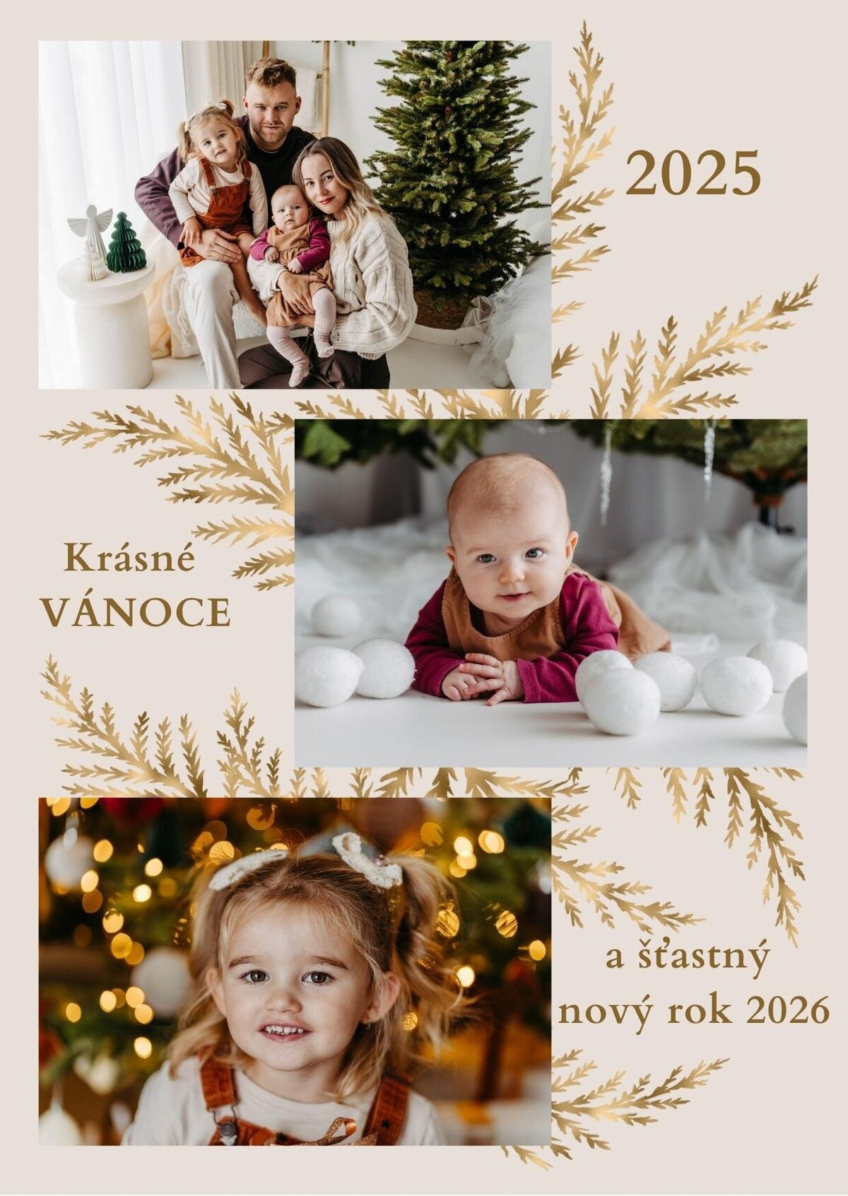 Vánoční přání 2025-5