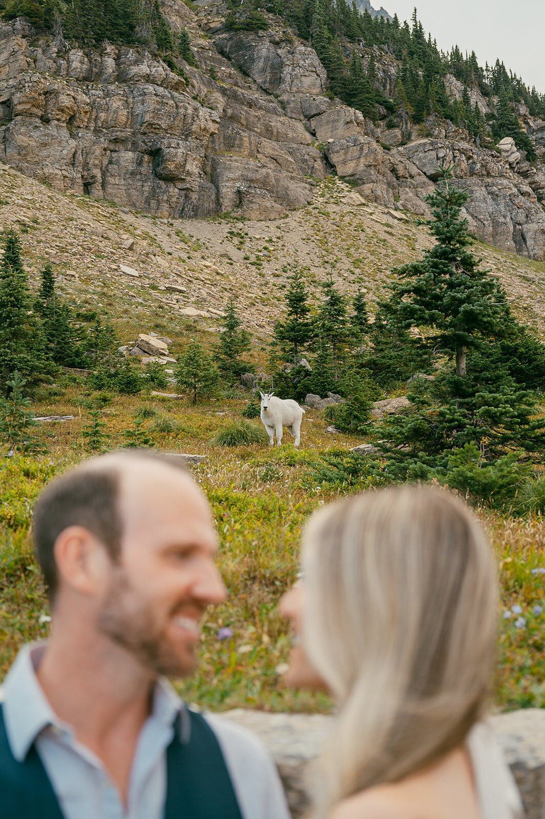 vintage-hollywood-glacier-national-park-elopement-presley-gray-photo1157